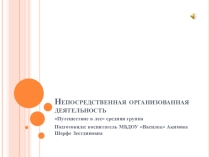 Презентация к занятию по ознакомлению с природой на тему:  Прогулка в сказочный лес