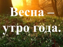 Презентация по окружающему миру на тему Весна - утро года. (2 класс) УМК Перспектива