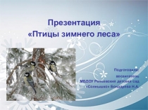 Зимующие птицы