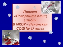 Презентация проекта Покормите птиц зимой.