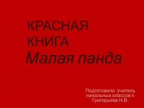 Презентация по окружающему миру на тему Красная книга. Малая панда