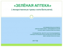 Лекарственные травы села Белькачи.