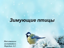 Презентация для старшей группы на тему: Зимующие птицы