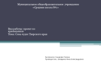 Проектная работа по краеведению Семь чудес Тверского края (4 класс)