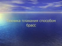 Техника плавания способом брасс