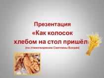 Презентация - Как колосок на стол хлебом пришел