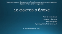 Презентация по исследовательской работе на тему 10 фактов о блохе
