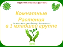 Презентация комнатные растения в 1 младшей группе