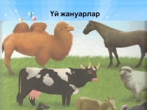 Презентация Жолбарыс 4 сынып
