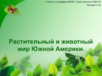 Презентация к уроку по теме Природные зоны Южной Америки(7 класс)