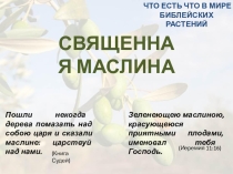Презентация по ОПК Библейские растения