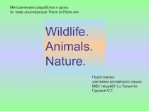 Презентация по английскому языку на тему оборот THERE IS-THERE ARE