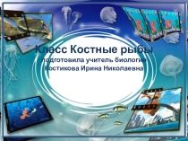 Презентация по биологии на тему Класс Костные рыбы