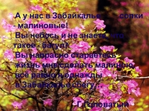Презентация проекта Где-то на сопках Багульник цветёт