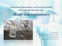 Презентация Фотоотчет экологической акции Кафе для пернатых