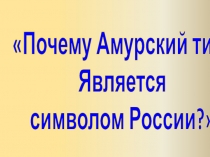 Презентация о проведении детского проекта Амурский тигр