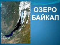 Озеро Байкал, эндемики озера Байкал