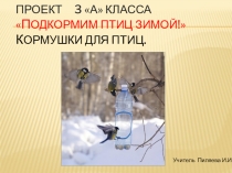 Презентация Подкормим птиц зимой.
