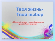 Твоя жизнь-Твой выбор