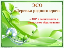 ЭСО Деревья родного края (1 класс)