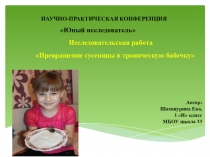 Исследовательская работа Превращение гусеницы в тропическую бабочку