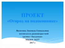 Презентация проекта Огород на подоконнике