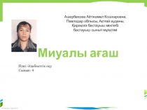 Ашық сабақ презентацияясы. Әдебиеттік оқу 4-сынып Миуалы ағаш