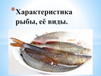 Характеристика рыбы, её виды