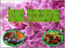 Презентация-викторина к уроку по окружающему миру 3 класс Отгадай растения и кустарники Ленинградской области