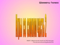 Презентация Ладья против слона 2 часть
