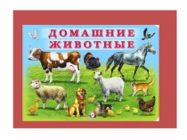 Презентация по окружающему миру Домашние животные