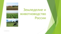 Презентация по географии на тему Земледелие и животноводство