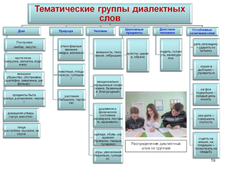 Презентация к социальному проекту создание словаря диалектных слов Живые корни родного языка Распределение диалектных слов по группам Распределение диалектных слов по группам