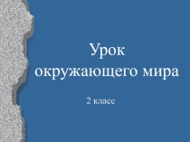 Презентация по окружющему миру Виды транспорта 2 кл.