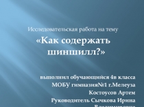 Презентация к исследовательской работе Как содержать шиншилл