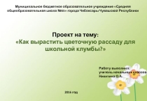 Проект на тему: Как вырастить цветочную рассаду для школьной клумбы?