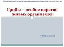 Грибы – особое царство живых организмов.pptx