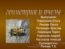 Проект по математике на тему Пчелы и многогранники