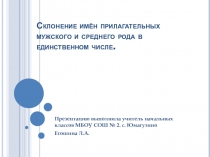 Презентация по русскому языку на тему  Склонение имен прилагательных мужского и среднего рода в единственном числе