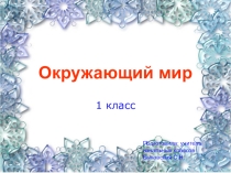 Презентация к окружающему миру Белые медведи