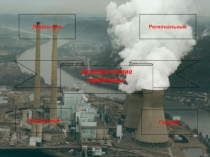 Экологические проблемы в современном мире