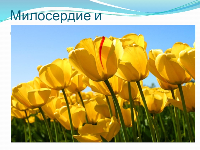 Презентация к ОРКСЭ Милосердие и сострадание ( 4 класс)