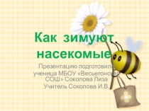 Презентация Как зимуют насекомые 1 класс