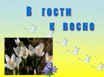 Призентация Занятия В гости к весне