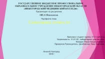 Ферменты