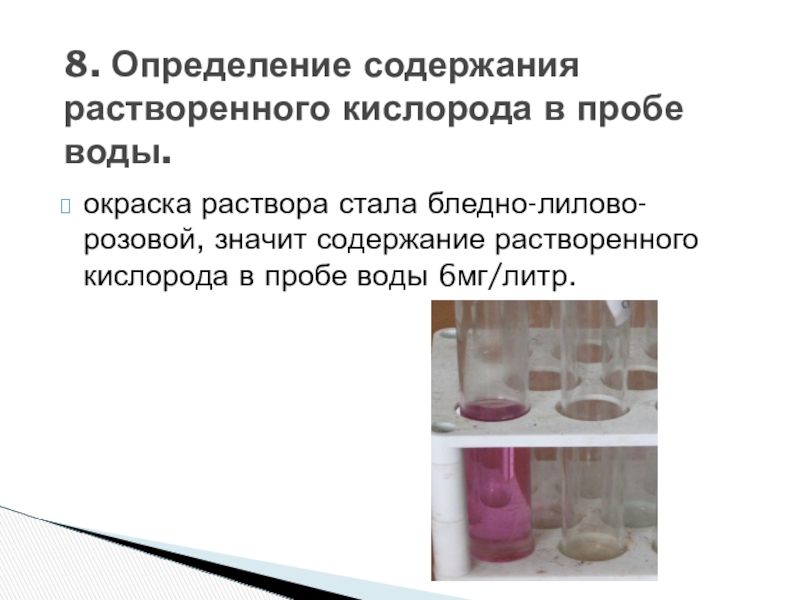 Исследовательская работа На тему: Экологическое состояние воды реки Бурея. окраска раствора стала бледно-лилово-розовой, значит содержание растворенного кислорода в пробе воды окраска раствора стала бледно-лилово-розовой, значит содержание растворенного кислорода в пробе воды 6мг/литр.8. Определение содержания растворенного кислорода в