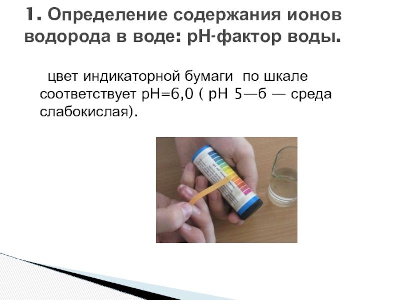 Исследовательская работа На тему: Экологическое состояние воды реки Бурея. цвет индикаторной бумаги по шкале соответствует рН=6,0 ( pH 5—б цвет индикаторной бумаги по шкале соответствует рН=6,0 ( pH 5—б — среда слабокислая). 1. Определение