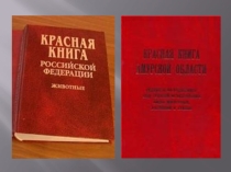 Презентация по краеведению и географии на тему Редкие и охраняемые животные Амурской области.