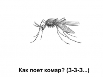 Знакомство с буквой Зз