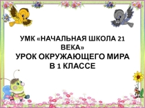 Презентация к уроку по окружающему миру Где ты живешь? (1 класс)